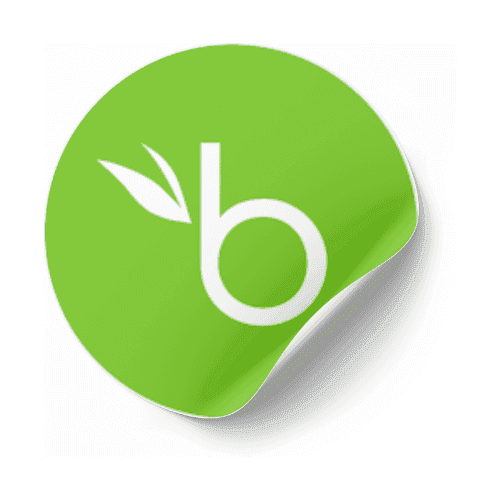 BambooHR