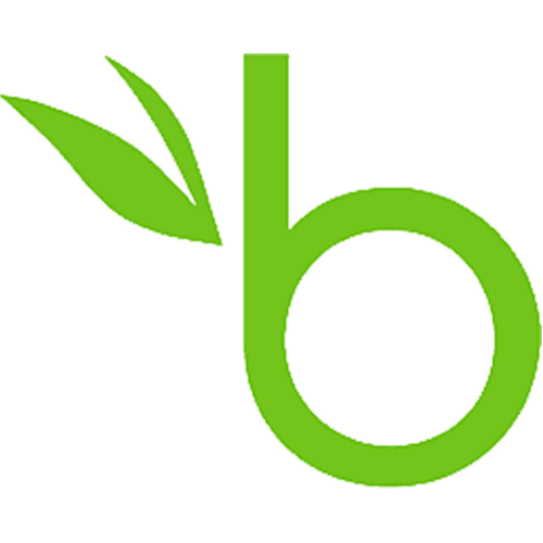 bamboohr.png